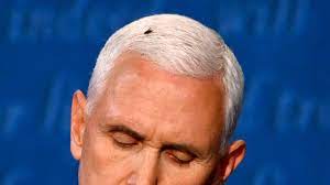 fly on pence head