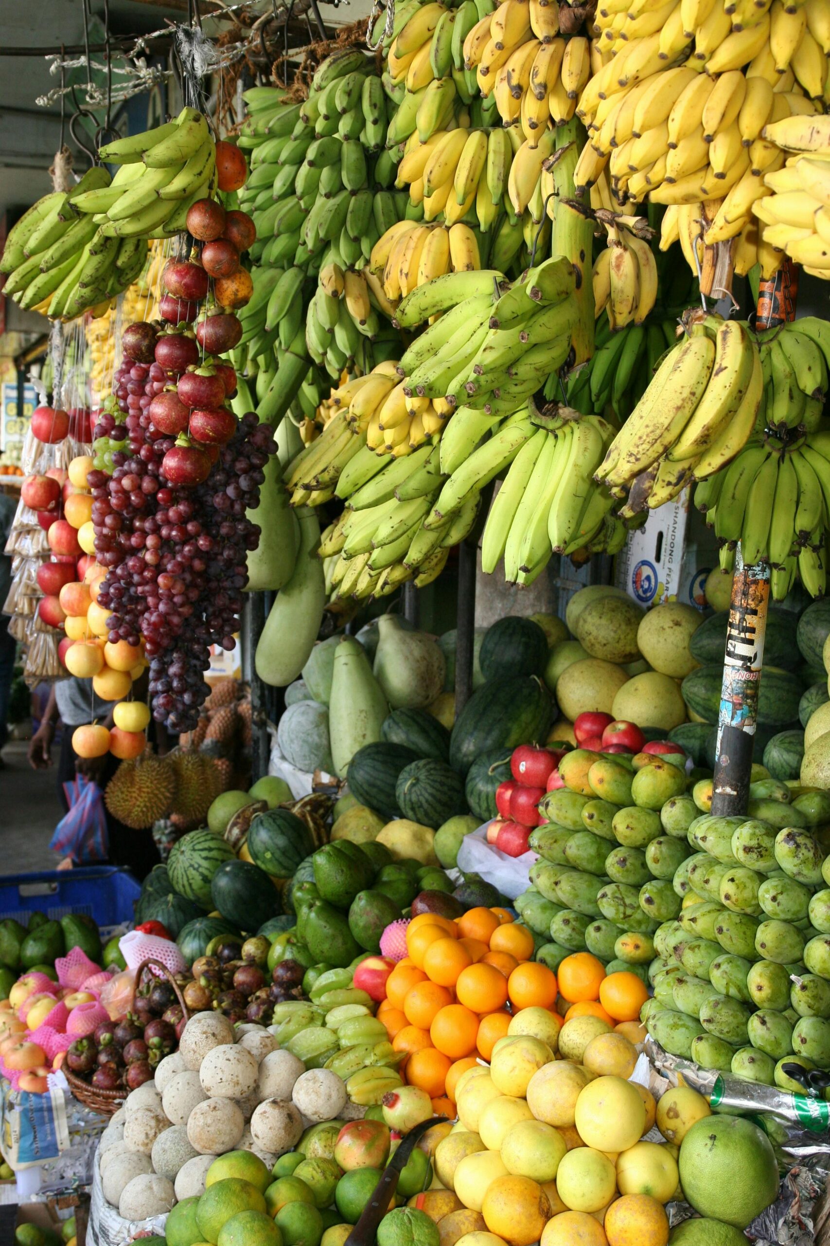 Ecuador Surpassed India to Become the World's Largest Banana Exporter