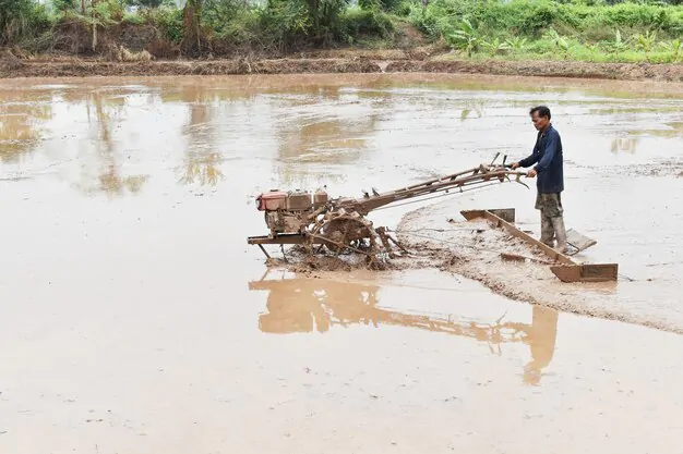 What problems can monsoons cause in India?