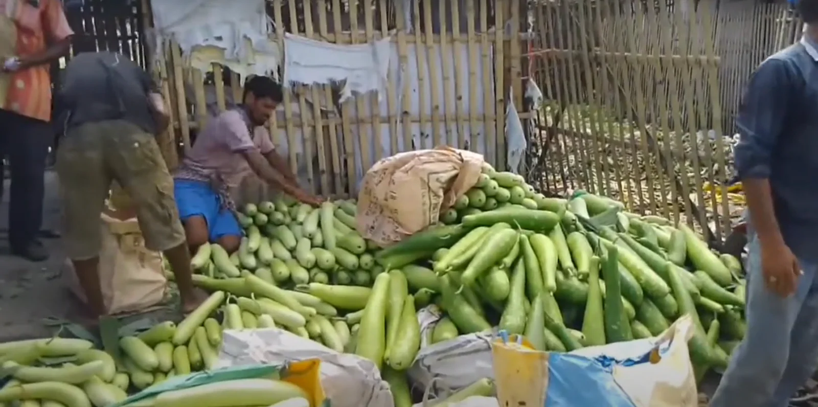 vegetable market Dhupguri