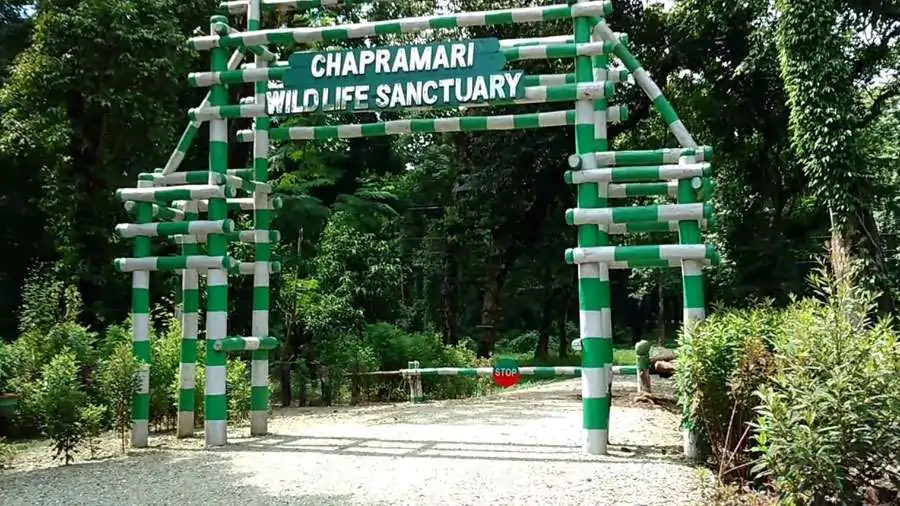 chapramari in dooars