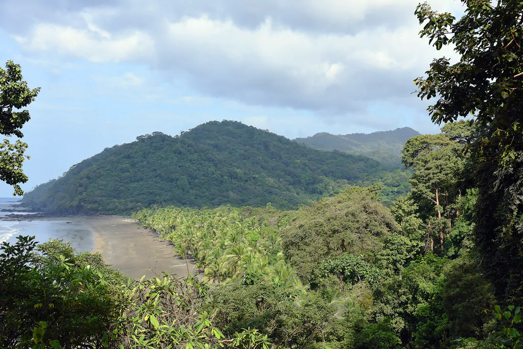 The Ecological Importance of the Darien Gap